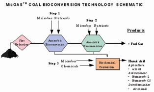 Coal Bio Conversio